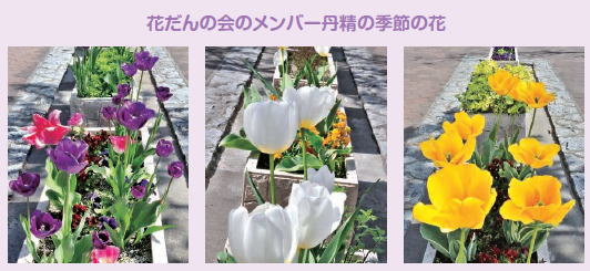 丹精込めて育てています